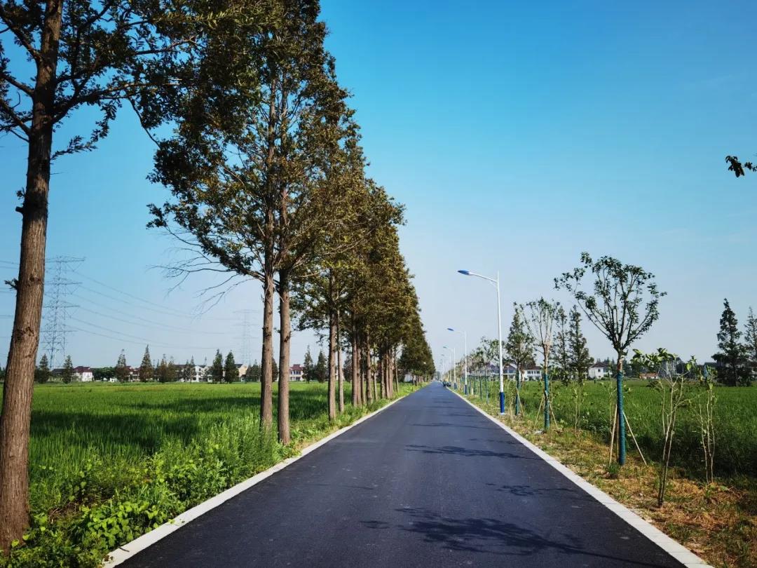 沁水县2023年“四好农村路”建设